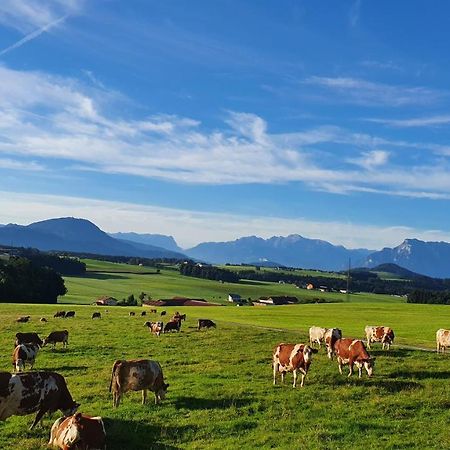 Idyllische Designer-Apartments Am Bio-Bauernhof In Salzburgerseenland Schmiding 10 Зекирхен-ам-Валлерзе Экстерьер фото